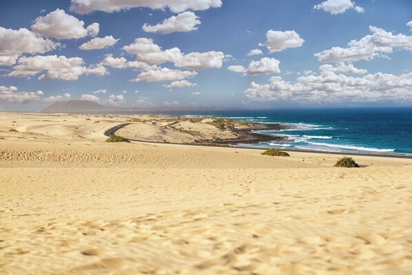 Strand