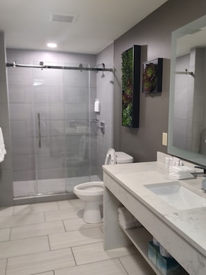 Shower, hair dryer, towels
