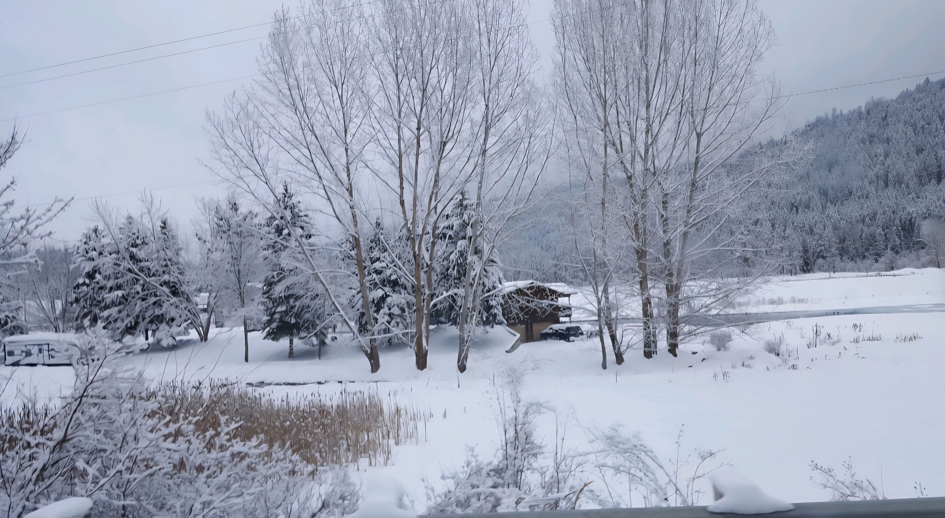 Paesaggio innevato con alberi spogli e cielo sereno.