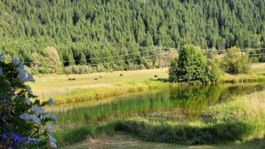 A serene lakeside view with a wooden bench, lush greenery, and a forested hill in the background. - Country Living 6 miles from Colville, easy access, on a beautiful large pond! (Colville)