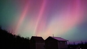 Two small buildings with a snowy ground, under a night sky with a colorful aurora display. - Fireweed Cottage Alaska at your doorstep! (Palmer)