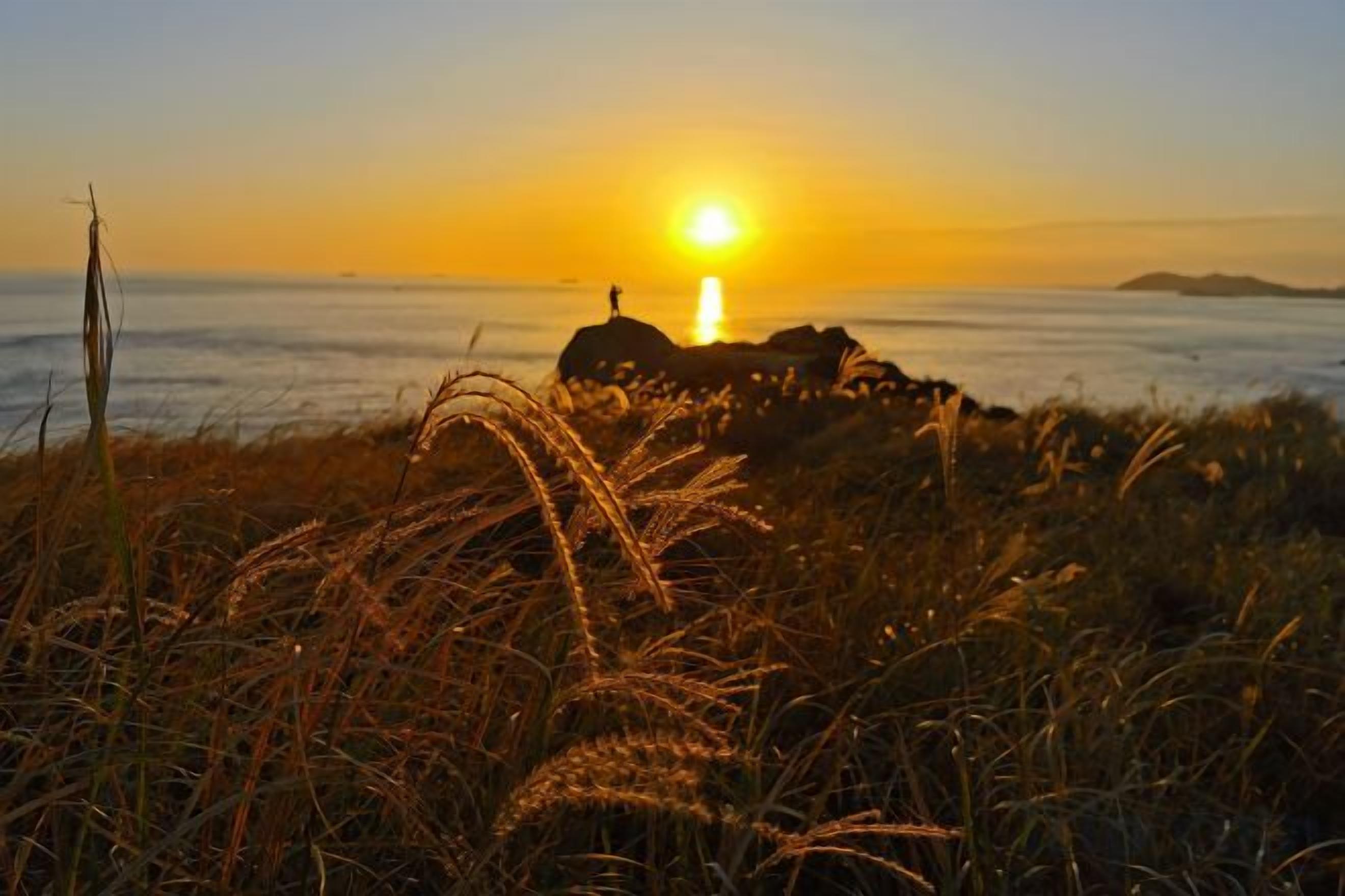 A sunset over a coastal landscape with a rocky outcrop and grass in the foreground.