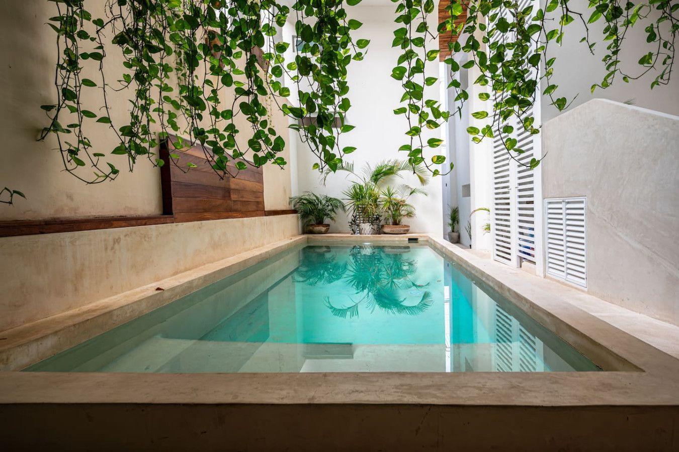 A rectangular pool with clear water, surrounded by a low wall and potted plants.