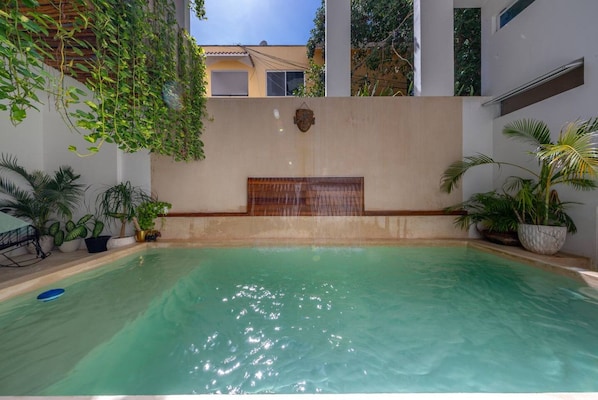 A swimming pool with a wooden bench, surrounded by potted plants and a white wall with a decorative element.