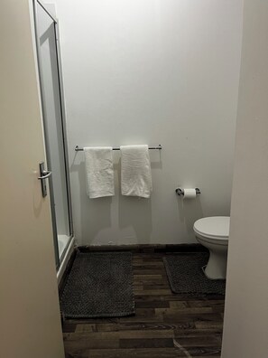 Shower, towels, soap, toilet paper