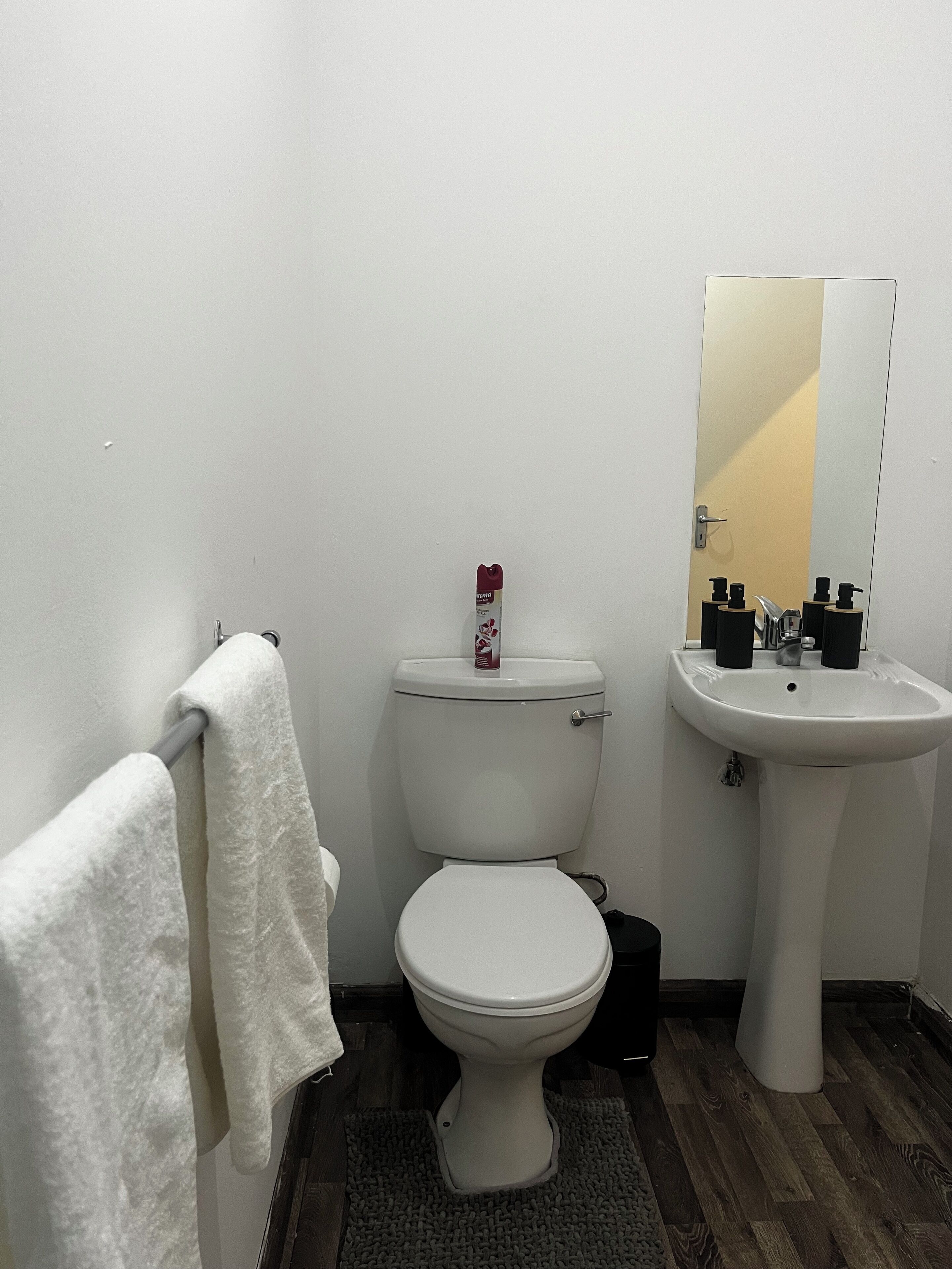 Shower, towels, soap, toilet paper