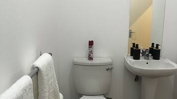 Shower, towels, soap, toilet paper