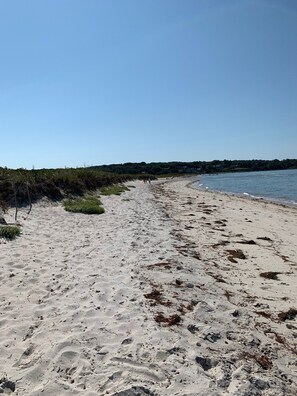 Una playa arenosa con huellas y algas marinas, un cielo despejado y una costa lejana con vegetación y edificios.
