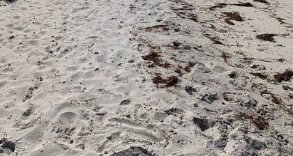 Luxury 6-bedroom home in charming Falmouth walk to Private Beach, Bike Path