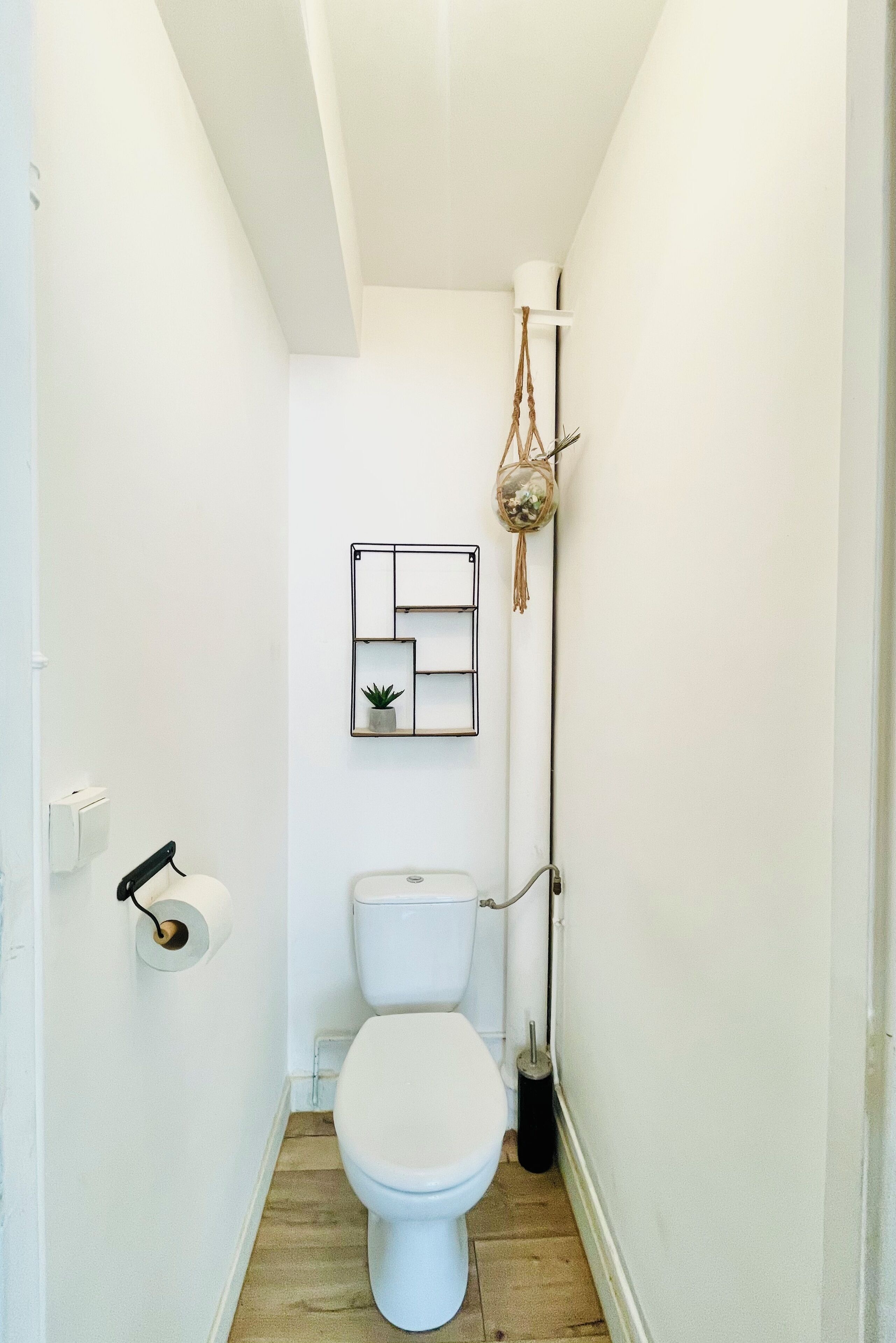 Un banyet reduït amb un vàter blanc, una prestatgeria penjada amb una planta i un objecte decoratiu suspès.