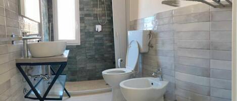 Shower, hair dryer, bidet, towels