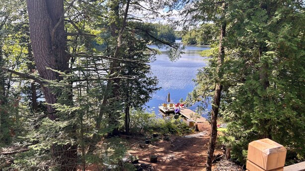 A wooden dock extending into a lake surrounded by dense forest.
