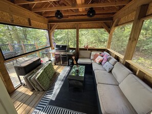 Smart TV, fireplace, books, video library