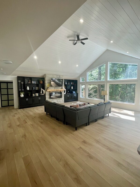 Smart TV, fireplace, books, video library