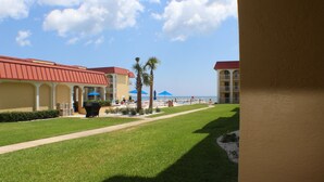 A hotel courtyard with a lawn, palm trees, and a view of the beach. - Ocean View Ground Floor 2/2 (New Smyrna Beach)