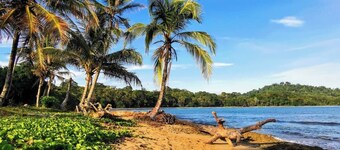 Amazing Beachfront house nestled in the  Tropical Jungle &fantastic Snorkeling!