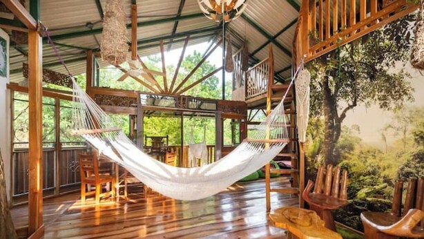 A hammock suspended from a wooden ceiling in a rustic room with wooden floors and furniture. - Treehouse with butterfly and exotic fruit farm (Quebrada amarilla)
