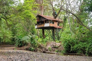 Exterior - Treehouse with butterfly and exotic fruit farm (Quebrada amarilla)
