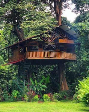 Exterior - Treehouse with butterfly and exotic fruit farm (Quebrada amarilla)