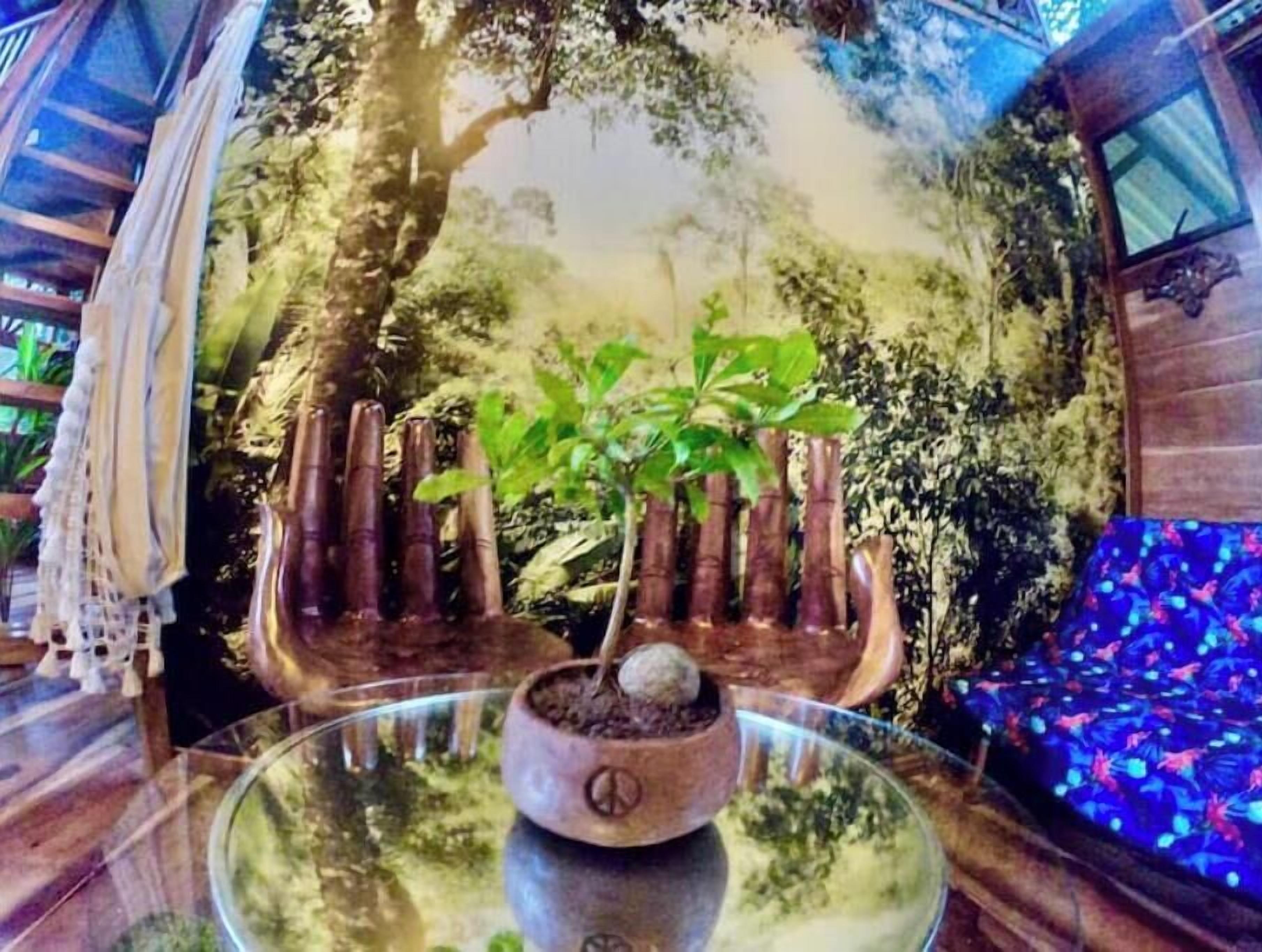 Une pièce avec une table en verre, une plante en pot et un canapé bleu à motifs.