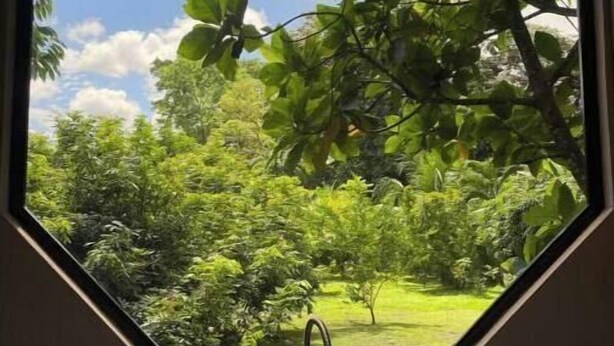 Une cuisine avec une fenêtre donnant sur un jardin luxuriant.