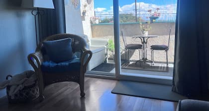 Charming 1-bedroom condo with full ammenities