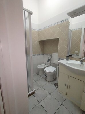 Shower, hair dryer, bidet, towels