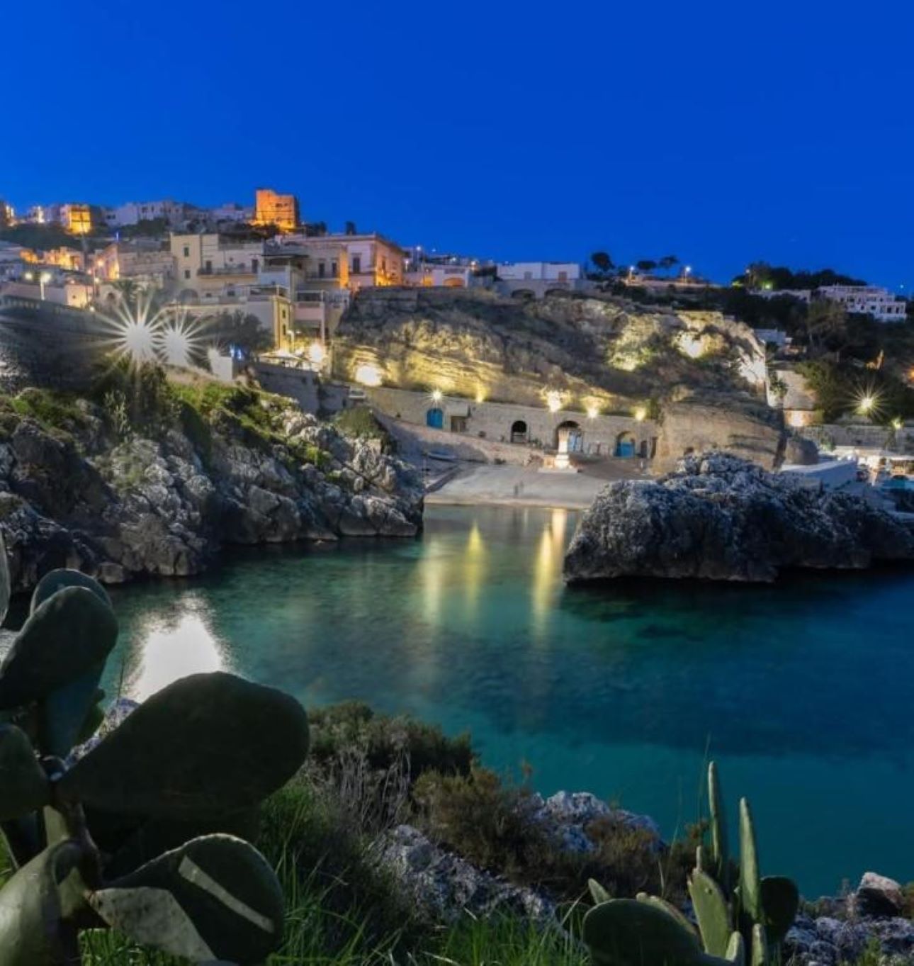 A coastal town at dusk with buildings illuminated, a rocky shoreline, and a clear view of the sea.