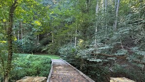 A wooden bridge in a forest with moss-covered steps and stone railings. - Back in Time! River Log Cabin-Off Grid (Concord)