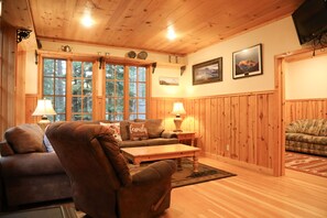 TV, fireplace, books