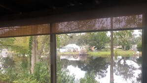 A view through a window with blinds, revealing a pond, greenery, and a building in the background. - Charming water front cottage with central AC,quiet area in lovely Inverness (Inverness)