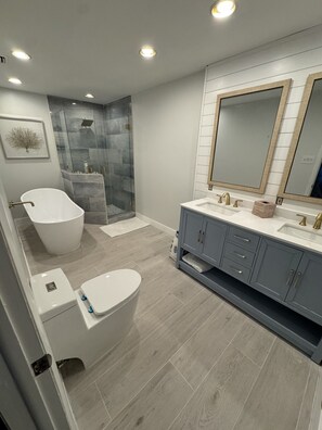 Shower, hair dryer, towels, soap