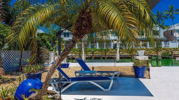 Unclassified image, 1 of 48, button