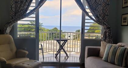 🌅 Rincon Oceanview Escape – Surf, Sunsets & Charm | 1 Bed: WaveView Rentals