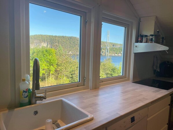 Oven, stovetop, dishwasher