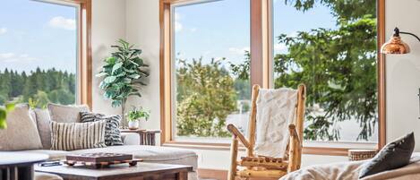 Smart TV, fireplace, video games, books