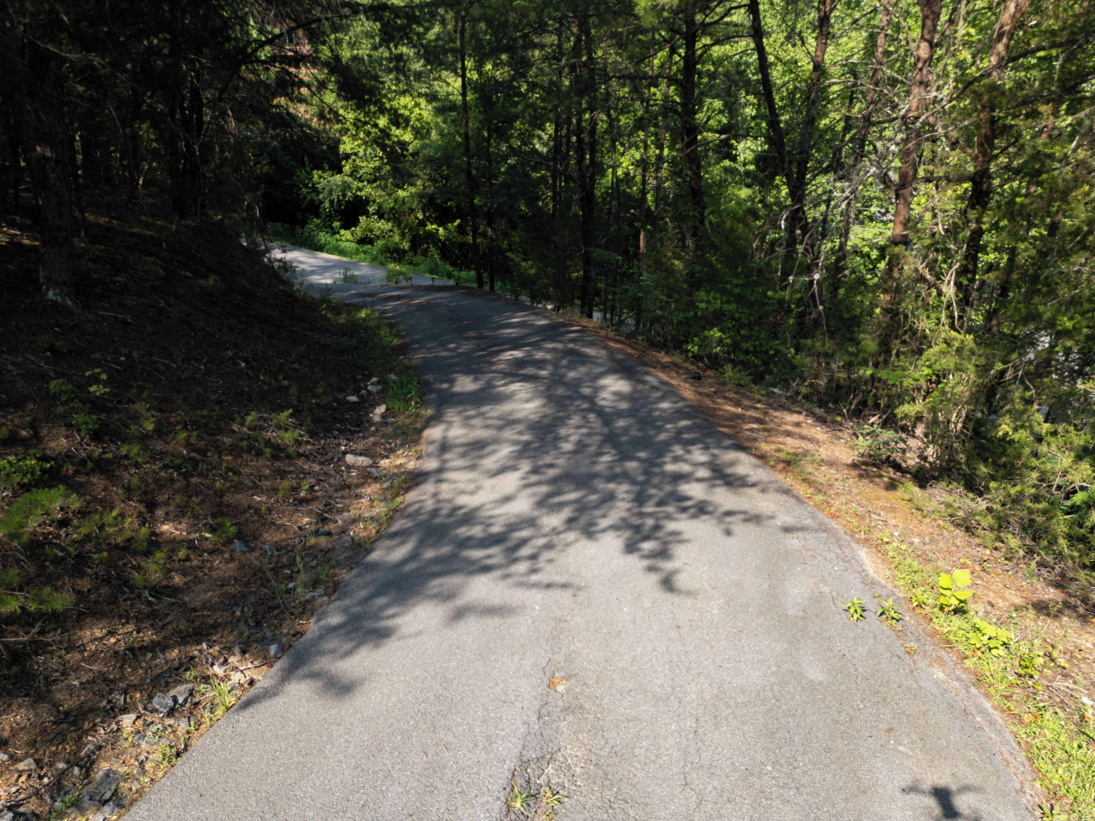 Une route asphaltée qui serpente à travers une zone boisée.