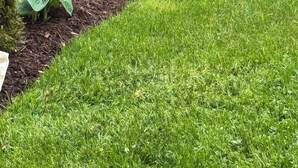 A landscaped garden with a variety of plants, a wooden deck, and a grassy area. - Welcome to Sunset Cove, Cozy home, enjoy the landscaped property & outdoor area. (Goobies)