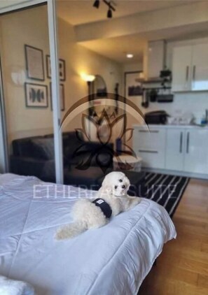 1 bedroom, iron/ironing board, Internet, bed sheets