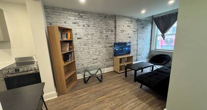 Beautiful apartment on Richmond near via rail