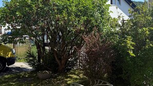A residential area with a large tree, a parked yellow car, and a white house with a dark roof. - Fitters' and vacation apartment near Heidelberg in the Odenwald with balcony & garden (Wilhelmsfeld)