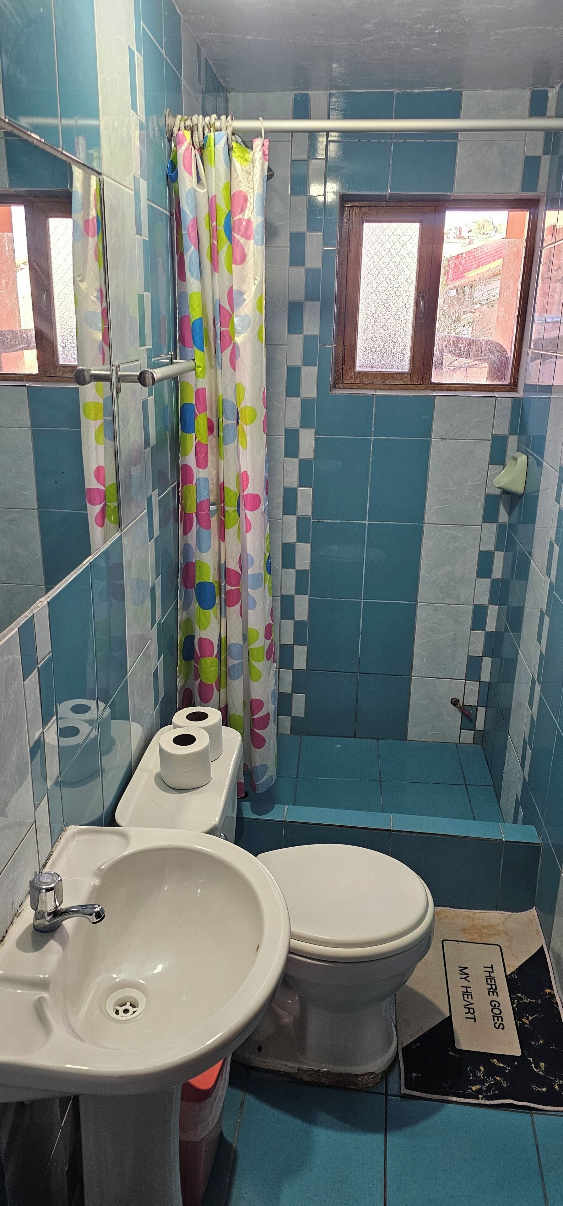 Ein Badezimmer mit blauen und weißen Fliesen, einer Toilette, einem Waschbecken und einem Duschvorhang mit floralem Muster.