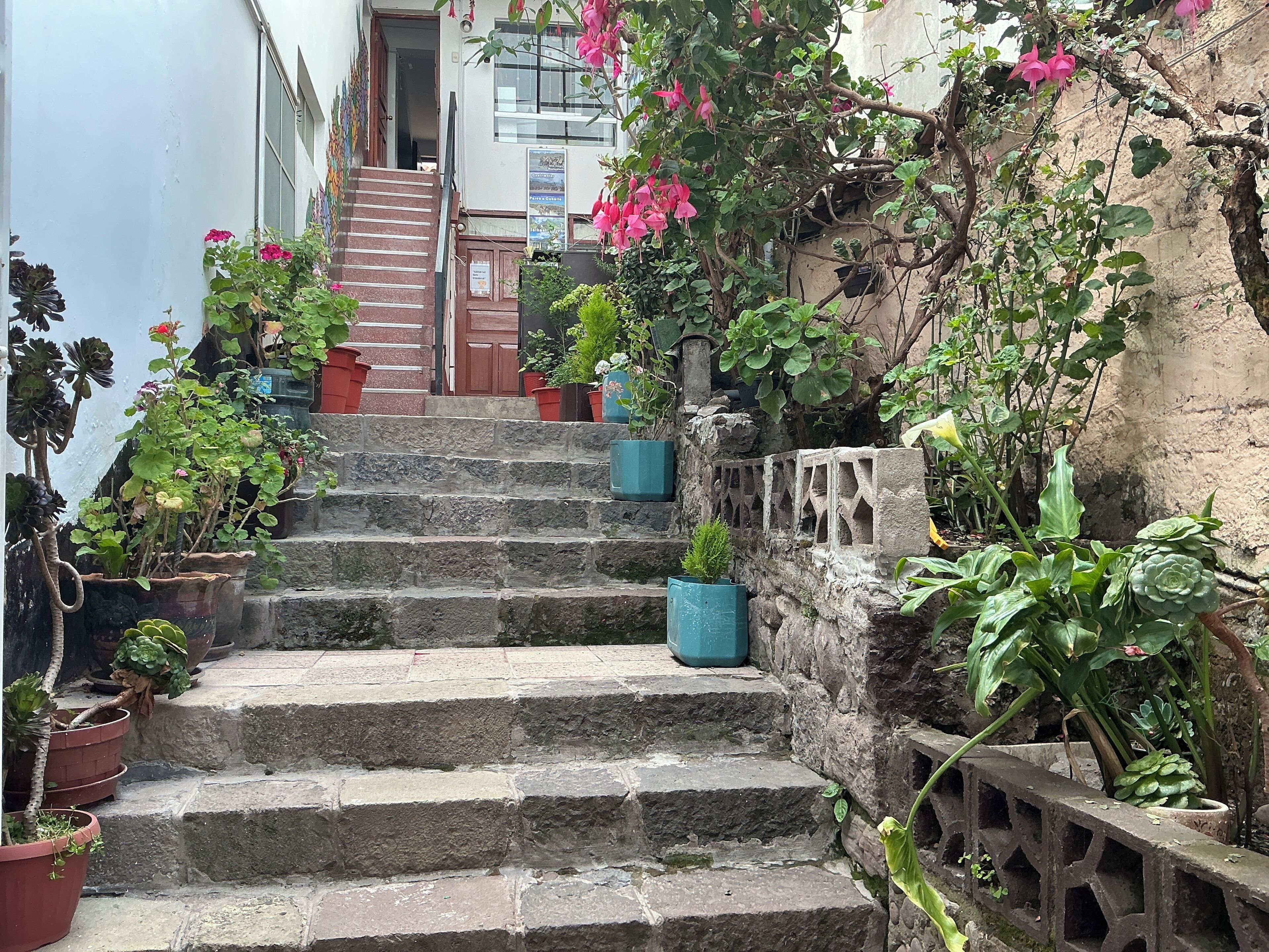 Entrada (vista interna)