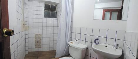 A bathroom with a shower, toilet, sink, and a mirror.