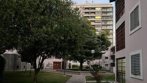 A residential area with a tree-lined pathway, a building with barred windows, and a multi-story apartment building in the background.