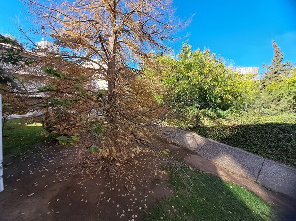 Boendeområde