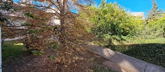 Apartment in Mendoza City - In front of the Park with Terrace and Views