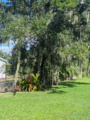 Property grounds - Charming 3-bedroom farmhouse (Clewiston)