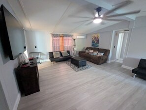 TV connectée, cheminée, chaîne hi-fi