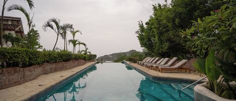 Una piscina con sillas de descanso y palmeras.